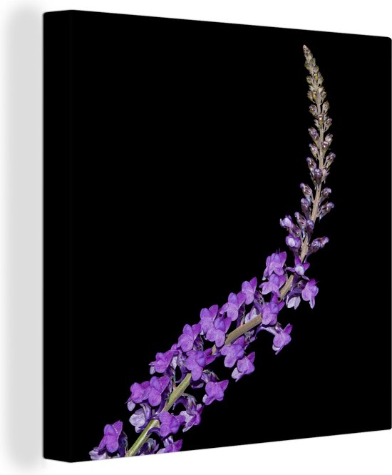 Canvas Schilderij Enkele paarse lavendel op zwarte achtergrond - 20x20 cm - Wanddecoratie