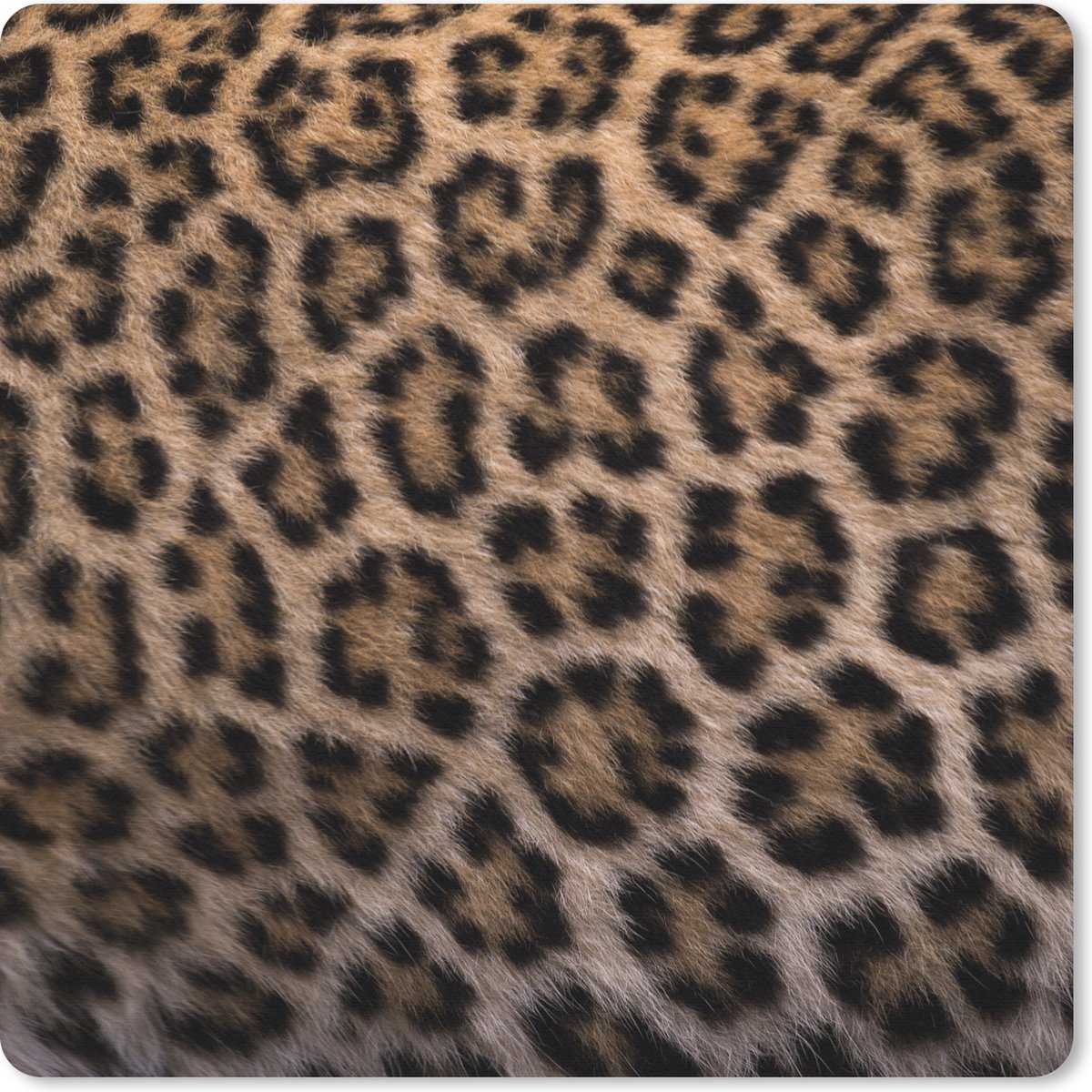 Muismat 30x30 cm - Mousepad Panterprint - Muismatten