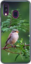Coque Samsung Galaxy A40 - Vogel - Arbre - Forêt - Siliconen