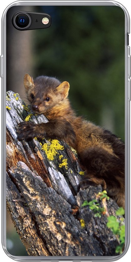 Coque iPhone 8 - Martre - Arbre - Forêt - Coque de téléphone en Siliconen