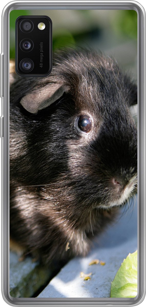 Telefoonhoesje Geschikt voor Samsung Galaxy A41 hoesje - Cavia's in de tuin - Siliconen Telefoonhoesje Telefoonhoesje