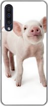 Coque Samsung Galaxy A50 - Cochon - Animaux - Wit - Siliconen - Sinterklaas - Noël - Cadeaux - Cadeaux chaussures