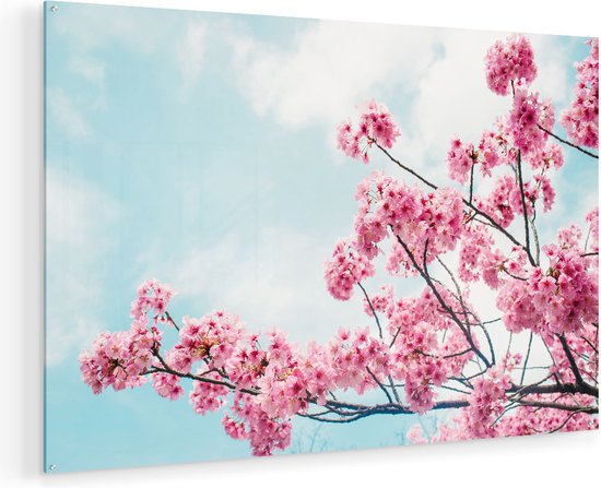 Artaza Glasschilderij - Roze Bloesemboom - Bloemen - Plexiglas Schilderij - Foto op Glas