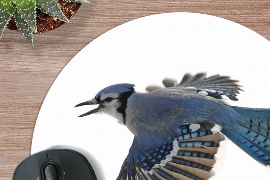 Muismat rond 30x30 cm - Mousepad Vogel - Veren - Wit - Ronde muismatten