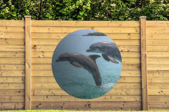 Garden Circle Dauphins pour les îles de la Baie - 150x150 cm - Poster de jardin rond - Extérieur