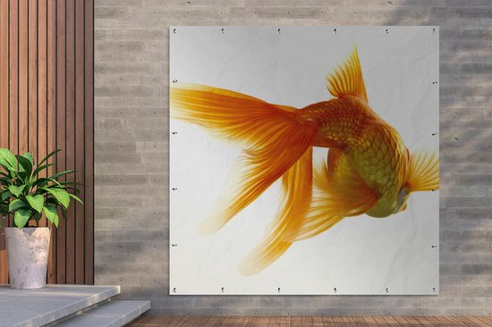 Poster Jardin Poisson rouge - Animaux aquatiques marins - Wit - 200x200 cm - Toile jardin - Poster extérieur
