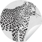 Tuincirkel Een illustratie van een luipaard - 120x120 cm - Ronde Tuinposter - Buiten XXL / Groot formaat!