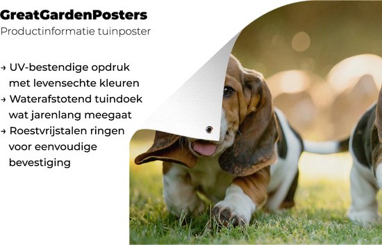 Poster de jardin Les chiots courent dans l'herbe - 60x30 cm - Toile de jardin - Poster extérieur