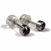 Aramat jewels ® - Zweerknopjes oorbellen 4mm paars chirurgisch staal