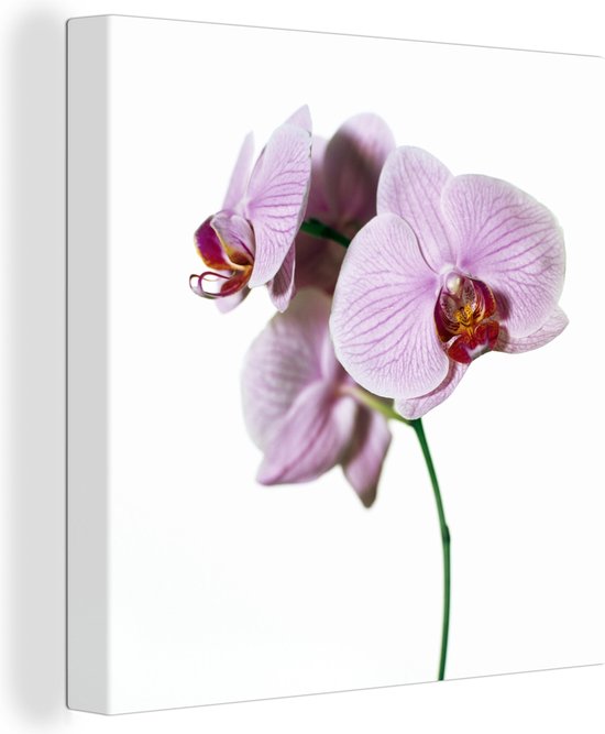 Canvas Schilderij Roze orchideebloem - 20x20 cm - Wanddecoratie
