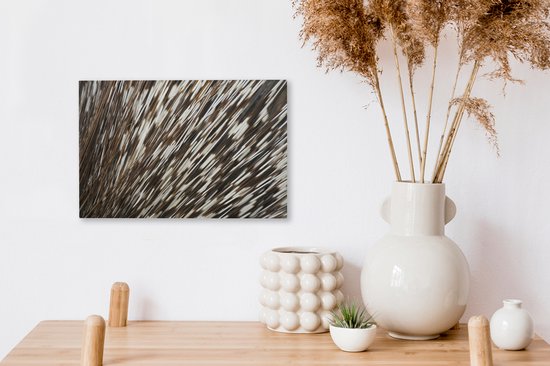 Tableau sur toile Épines en gros plan - 30x20 cm - Décoration murale