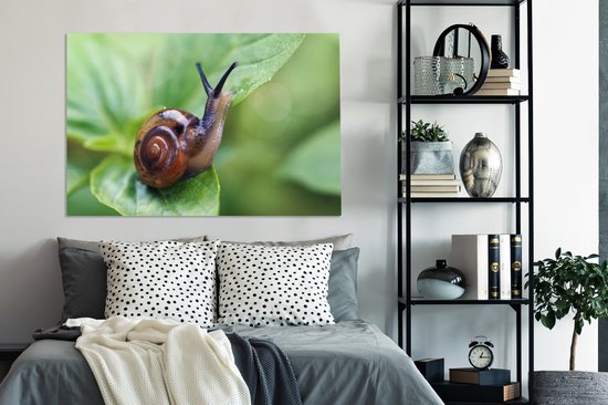 Tableau sur toile Escargot sur feuille - 120x80 cm - Décoration murale
