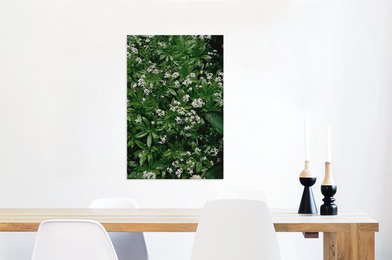 Canvas Schilderij Groene bladeren van de lievevrouwebedstro - 40x60 cm - Wanddecoratie