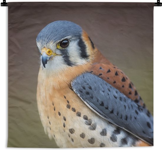 Tenture murale - Tissu mural - Vogel - Macro - Blauw - 60x60 cm - Tapisserie