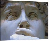 Details van Michelangelo's David in Florence - Foto op Canvas - 100 x 75 cm