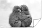 Poster Knuffelende apen vrienden - zwart wit - 30x20 cm