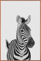 JUNIQE - Poster met kunststof lijst Zebra Classic -13x18 /Wit & Zwart
