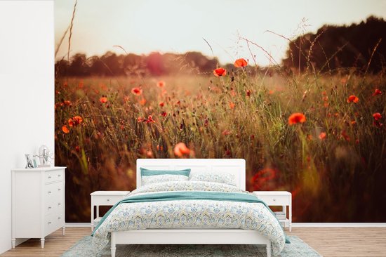 Papier peint Papier peint photo en vinyle - Champ d'herbes hautes et coquelicots au coucher du soleil largeur 390 cm x hauteur 260 cm - Tirage photo sur papier peint (disponible en 7 tailles)