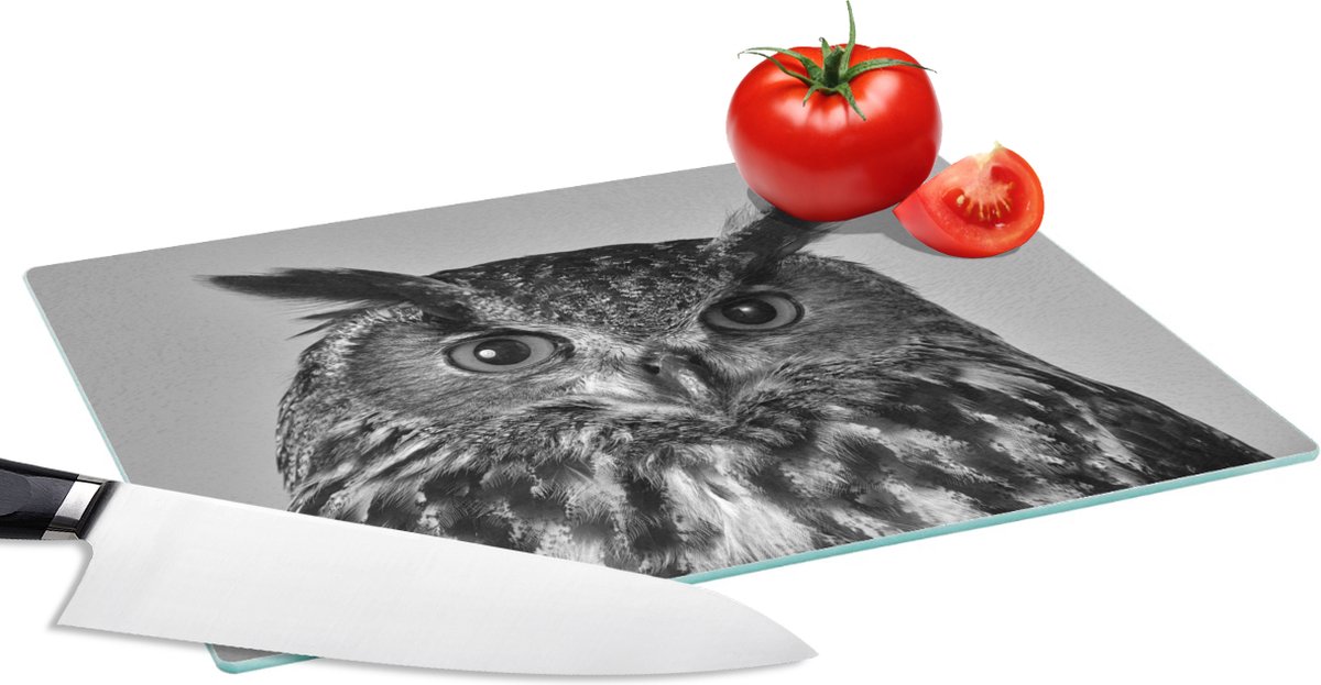 Glazen Snijplank - 28x20 - Bruine uil - zwart wit - Snijplanken Glas