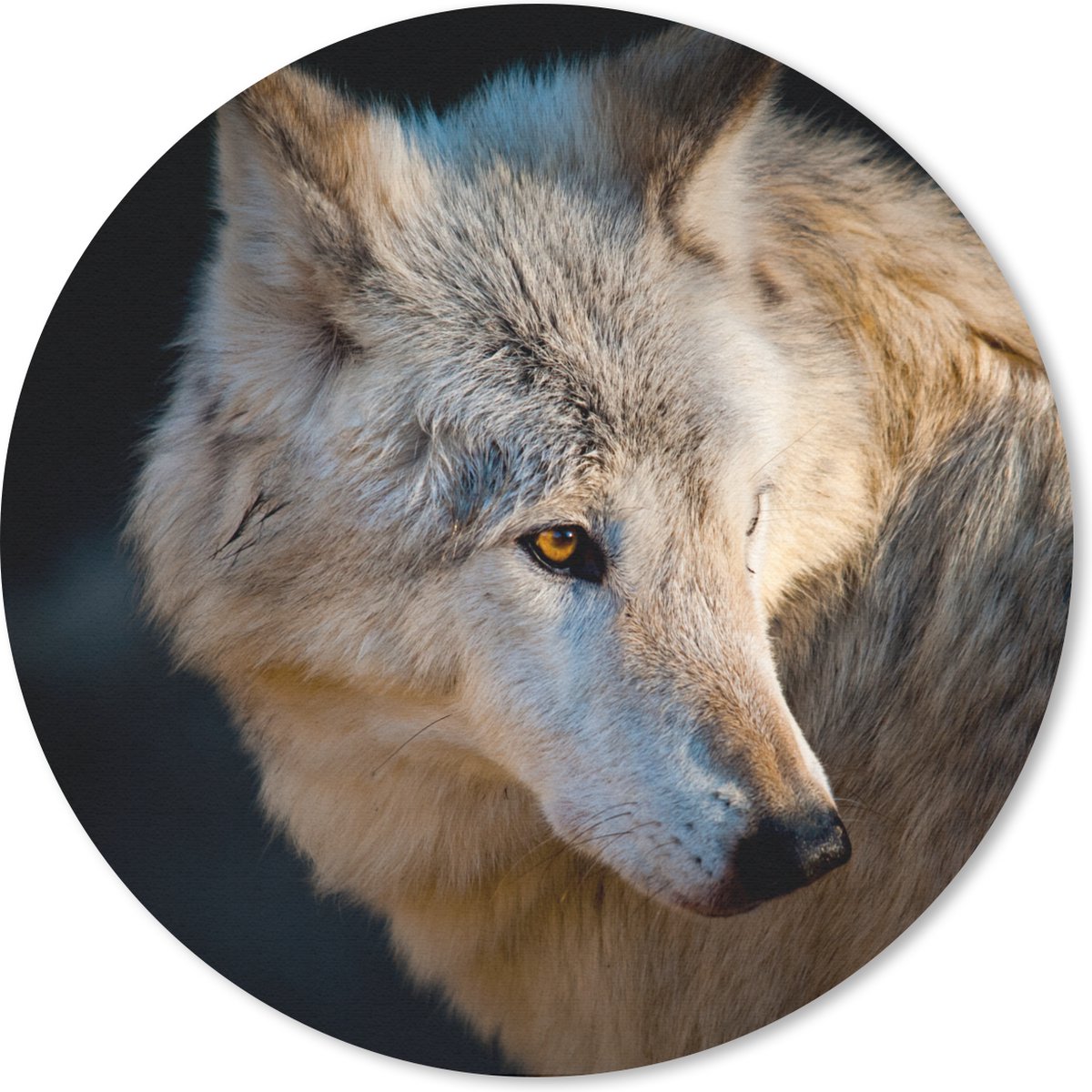 Muismat rond 30x30 cm - Mousepad Lichte arctische wolf - Ronde muismatten