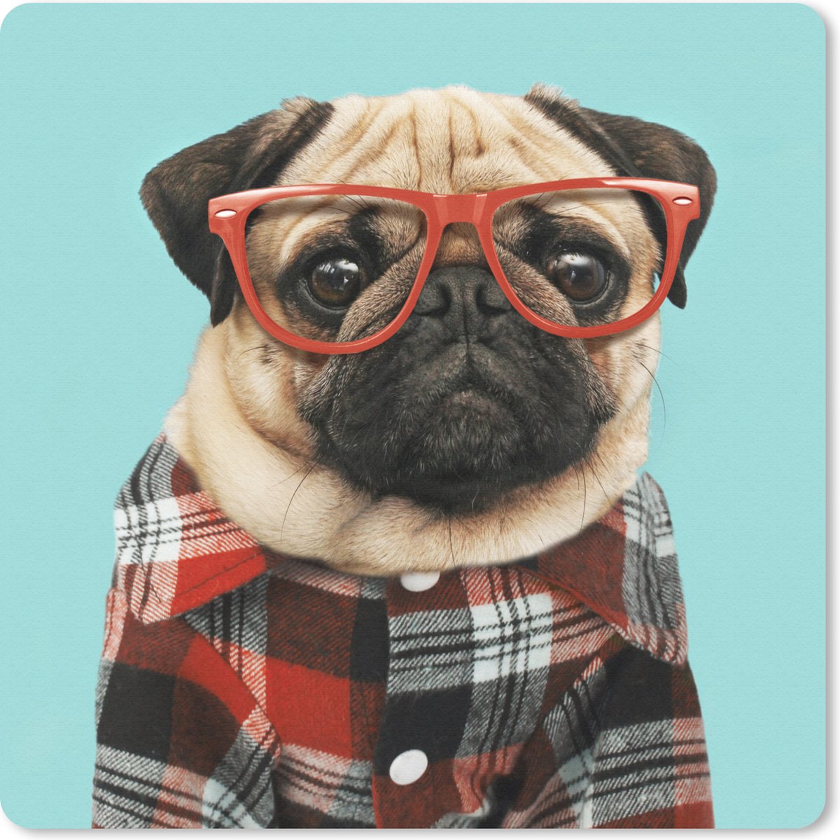 Muismat 20x20 cm - Mousepad Hond - Hipster - Bril - Blouse - Muismatten