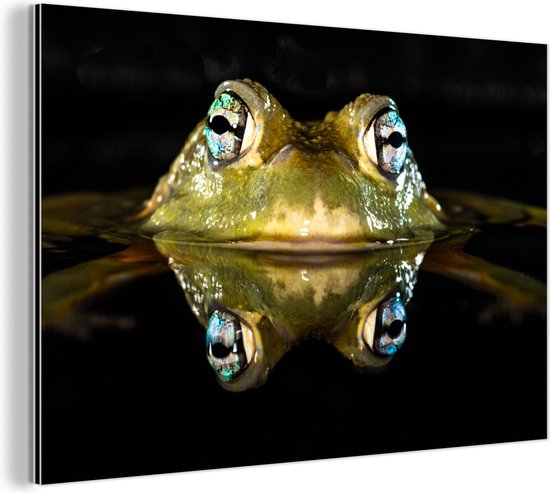 Décoration murale Métal - Peinture Aluminium Industriel - Grenouille - Yeux - Portrait - 120x80 cm - Dibond - Photo sur aluminium - Décoration murale industrielle - Pour le salon/chambre
