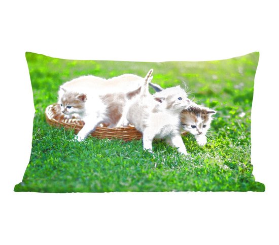 Sierkussen Katten voor binnen – Kittens in de tuin – 50×30 cm – rechthoekig binnenkussen van katoen