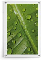 Walljar - Leaf Water Drops - Muurdecoratie - Plexiglas schilderij