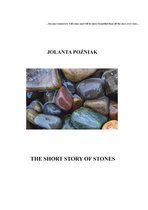 Omslag The Short Story of Stones