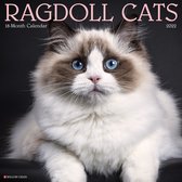 Ragdoll Kalender 2022