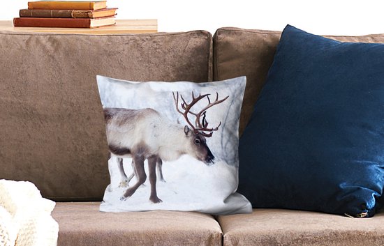 Une photo de Noël de rennes le long des routes de Kilpisjarvi ., Finlande