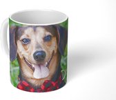 Mok - Koffiemok - Een mooie Teckel op 2 poten kijkend in de camera - Mokken - 350 ML - Beker - Koffiemokken - Theemok