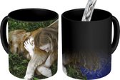 Magische Mok - Foto op Warmte Mok - Hond - Kind - Gras - 350 ML