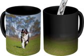 Magische Mok - Foto op Warmte Mok - Een border collie met een stok in de mond - 350 ML