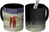 Magische Mok - Foto op Warmte Mok - Schotse Hooglanders - Gras - Kalf - 350 ML