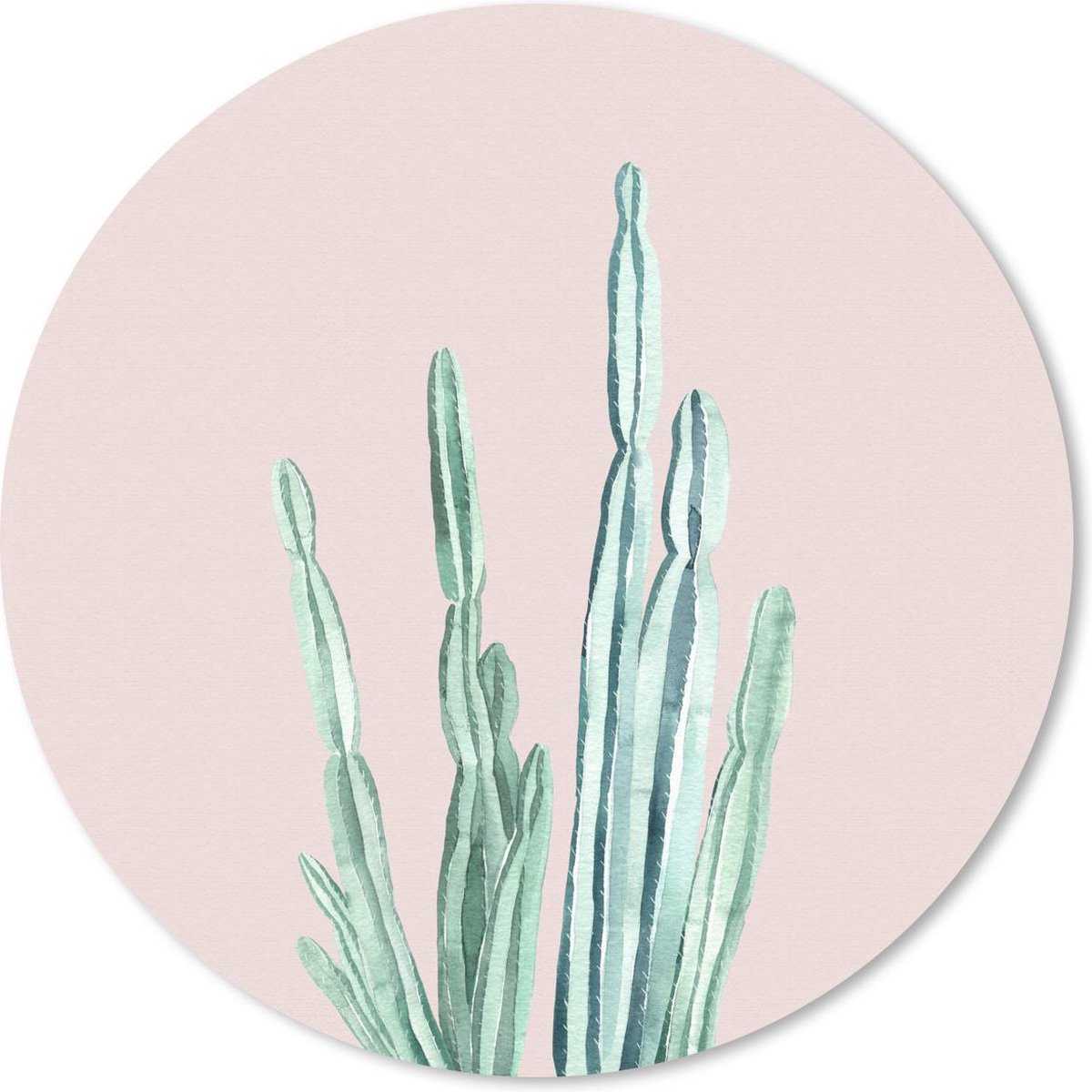 Muismat rond 40x40 cm - Mousepad Cactus - Vetplanten - Roze - Ronde muismatten