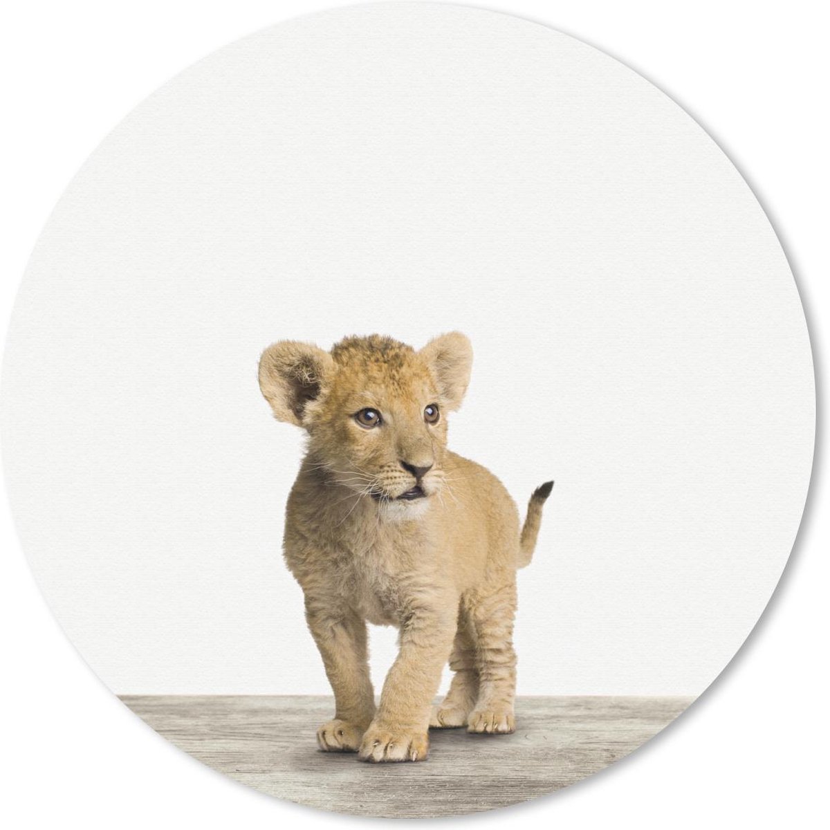 Muismat rond 30x30 cm - Mousepad Dieren - Leeuw - Welp - Ronde muismatten