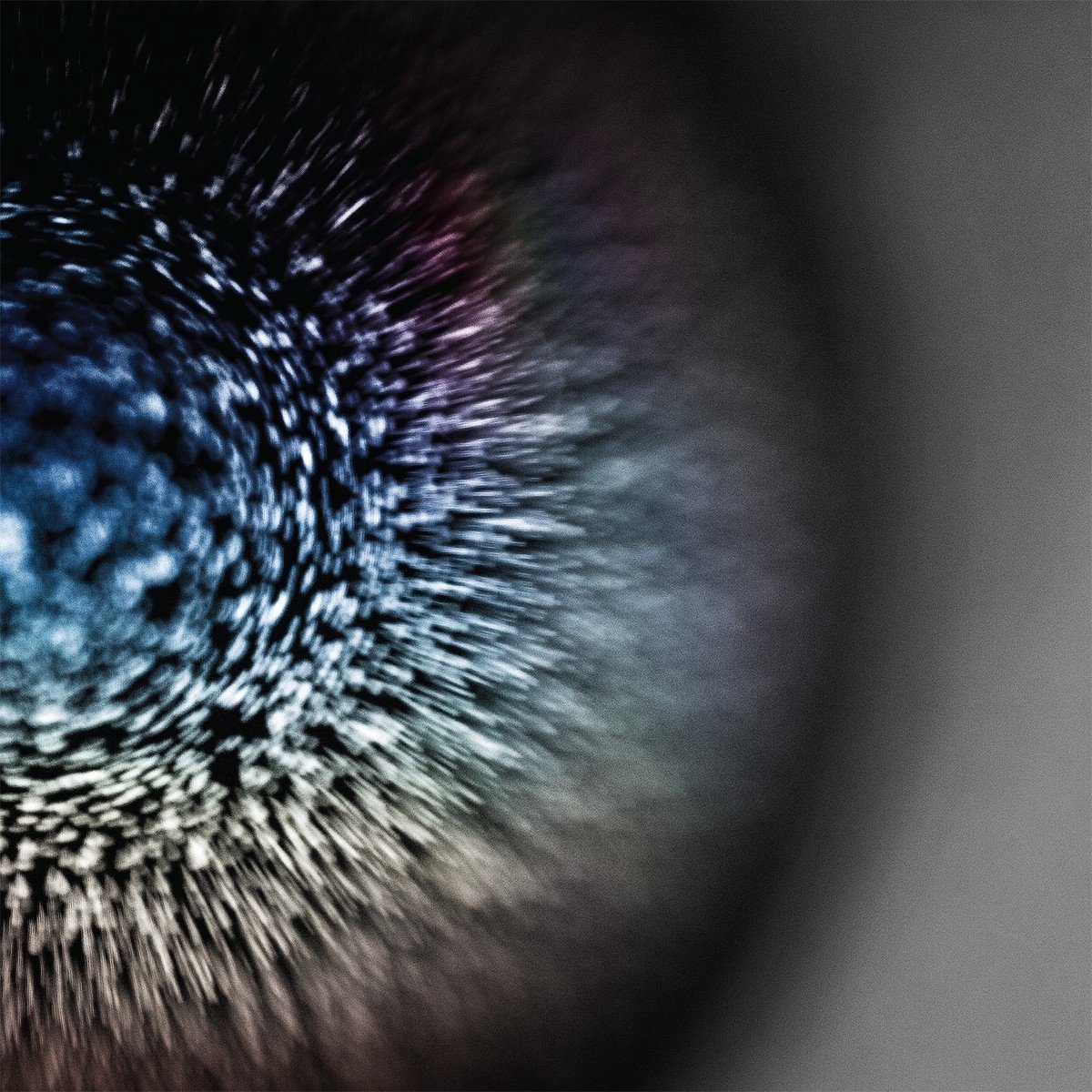 Emptyset - Blossoms (LP) (Coloured Vinyl) ( Limited Edition)