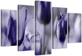 Trend24 - Canvas Schilderij - Paarse Tulpen Op Een Weide - Vijfluik - Bloemen - 100x70x2 cm - Paars
