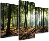 Trend24 - Canvas Schilderij - Stralen In Het Bos - Drieluik - Landschappen - 60x40x2 cm - Groen