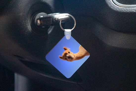 Porte-clés - Alpaga - Blauw - Ciel - Plastique