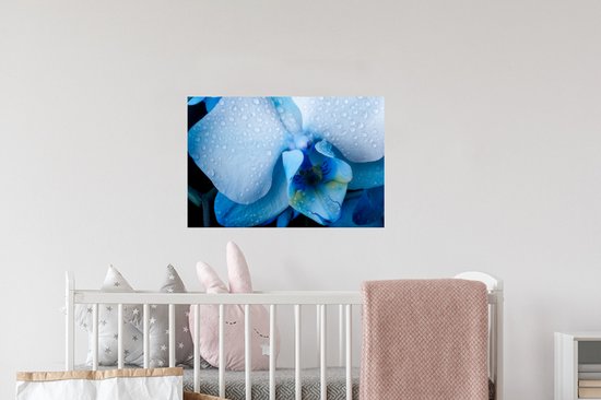 Muurstickers - Sticker Folie - Close-up van een blauwe orchidee met lichtgekleurde bladeren - 60x40 cm - Plakfolie - Muurstickers Kinderkamer - Zelfklevend Behang - Zelfklevend behangpapier - Stickerfolie