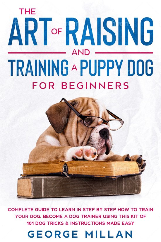 The Art of Training and Raising a Puppy Dog for Beginners