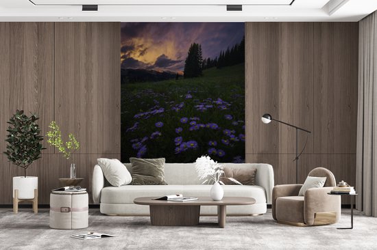 Champ de fleurs dans les montagnes Rocky au crépuscule 170x260 cm
