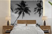 Papier peint - Papiers Papier peint photo Palmiers et transats sur la plage de Boracay - noir et blanc - largeur 300 cm x hauteur 300 cm