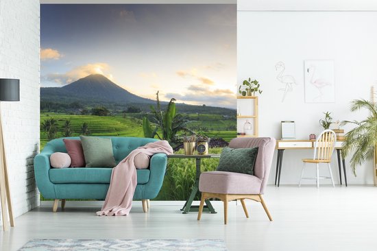 Papier peint photo peint vinyle - Champs de riz et Volcans en Indonésie largeur 240 cm x hauteur 240 cm - Tirage photo sur papier peint (disponible en 7 tailles)