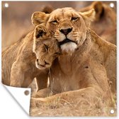 Affiche de Jardin Lion - Animaux sauvages - Cub - 200x200 cm - Toile jardin
