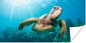 Poster Zwemmende schildpad fotoafdruk - 160x80 cm