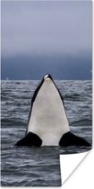 Poster Orka boven water - 40x80 cm