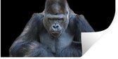 Stickers muraux - Un Gorilla regarde de manière impressionnante dans l'appareil photo - 40x20 cm - Feuille adhésive
